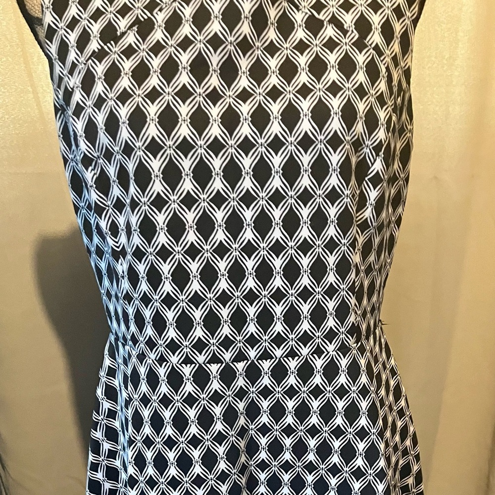 AA Studio AA Skater dress. PL size . Great for an evening out on the town